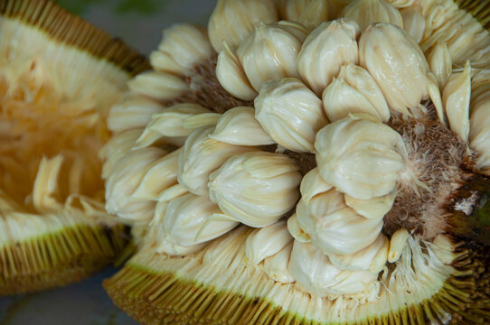 Close up of Tarap fruit of Borneo Malaysia. Asian fruit concept