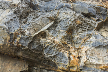 Rock texture for background
