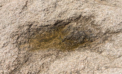 Rock texture for background