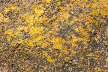 Rock texture for background