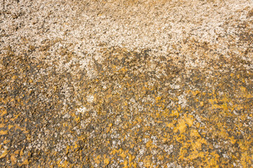 Rock texture for background