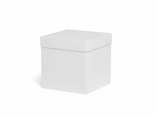 Box isolated on white background. Blank. 3d illustration.