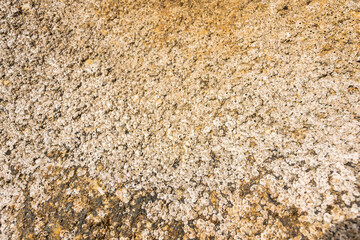 Rock texture for background