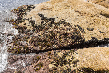 Rock texture for background