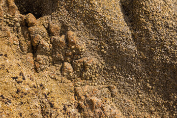 Rock texture for background