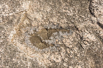 Rock texture for background