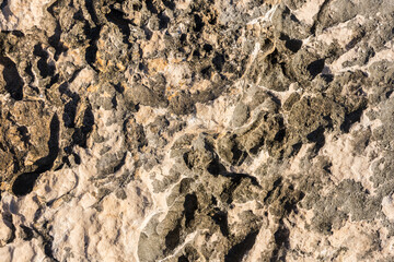 Rock texture for background
