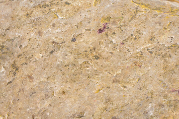 Rock texture for background