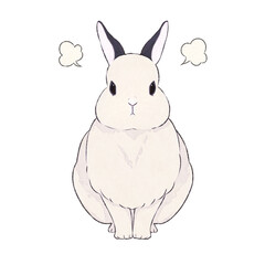 うさぎ　ドワーフホト　表情（怒）