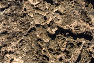 Rock texture for background