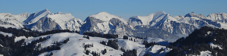 Winter landscape seen from Horeneggli, Switzerland.