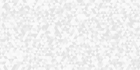 Gray White Polygon Mosaic Background, business and corporate background. ekegant white and gray triangle pattern banner design