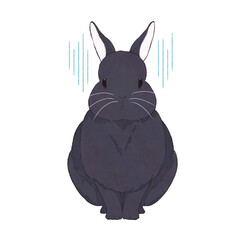 黒うさぎ　表情（哀）