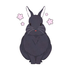 黒うさぎ　表情（楽）