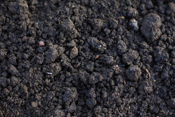 Close-up photo of organic soil. Soil for planting.