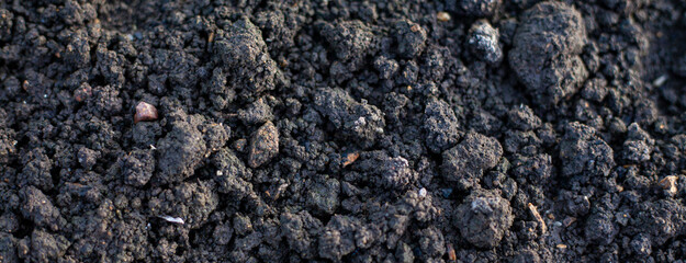 Close-up photo of organic soil. Soil for planting.