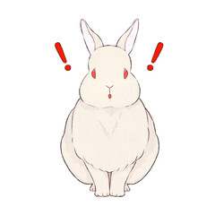 白うさぎ　表情（驚く）