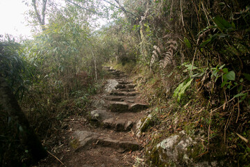 Walking towards the city of Machu Picchu by the Inca trail. Stone staircase.