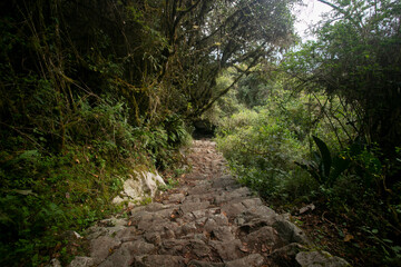 Walking towards the city of Machu Picchu by the Inca trail. Stone staircase.