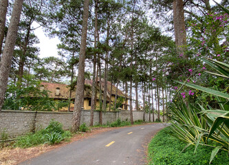 Street view of Dalat, Vietnam
