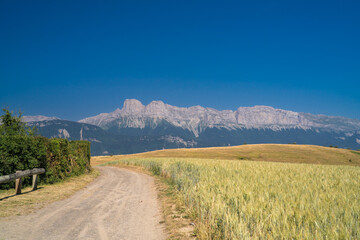 Grenoble, cityscape image of Grenoble and the Alps , France 