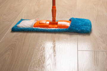 Wet mopping laminate flooring. Mop on laminate.