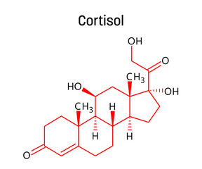 Cortisol molecular structure. Cortisol is a steroid hormone regulating stress response, metabolism, blood pressure, blood sugar and sleep-wake cycle. Vector structural formula of chemical compound