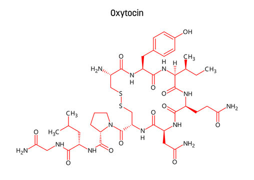 Oxytocin molecular structure. Oxytocin, the hormone of love, produced in the hypothalamus. Important role in reproduction, childbirth and social bonding. Vector structural formula of chemical compound