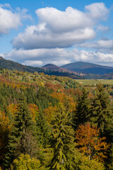 Beautiful autumn forest in the Carpathian mountains on a sunny autumn day on the Synevyr Pass ridge and blue sky background. Ukraine