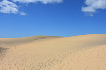Obraz na płótnie Canvas Scenic view of the sand dunes at Maspalomas