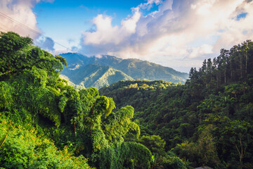 Fototapeta na wymiar The Blue Mountains in Jamaica, Caribbean, Middle America.