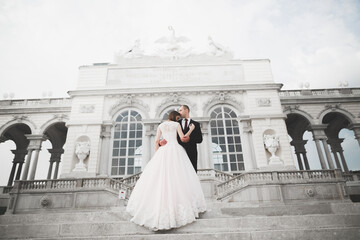 Obraz premium Luxury married wedding couple, bride and groom posing in luxury city