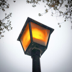 warm street lamp