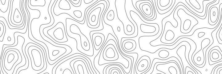White wave paper curved reliefs abstract background, Abstract topographic contours map on concept of a conditional geography scheme and the terrain path. Dark on black, illustration.