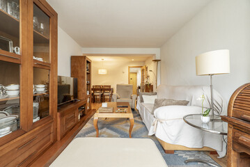 Long living room of a house with beautiful wooden furniture with a bookcase with glass doors and a dining table in the background