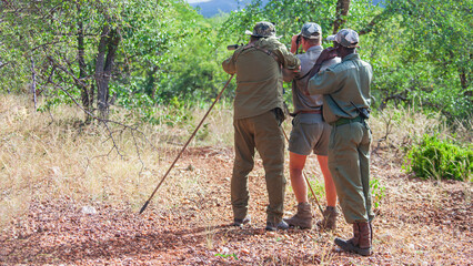 Hunter, accompanied by huntsman and tracker, prepares to shoot while hunting from the approach. - obrazy, fototapety, plakaty