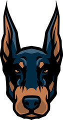 Head of Serious Doberman Pinscher Dog