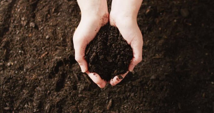 Overhead video of hands of caucasian person cupping rich dark soil