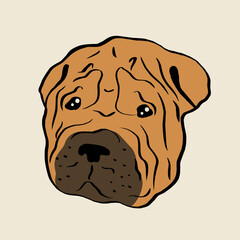 Hand drawn cartoon portrait of shar pei. Funny muzzle of a pug. Dogs, design elements on the theme of pets, icon, logo.