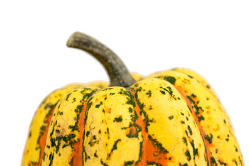the natural decorative ornamental pumpkins