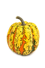 the natural yellow decorative ornamental pumpkin