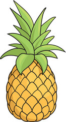 Cartoon pineapple vector illustration on white background