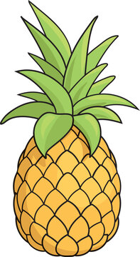 Cartoon pineapple vector illustration on white background
