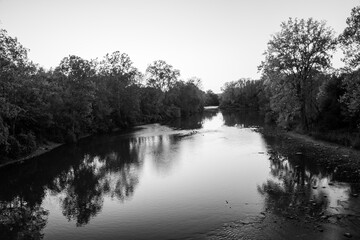 Thames River with trees, London, Ontario, black and white