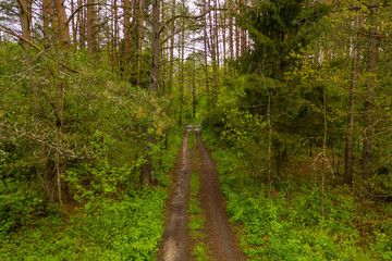 Fototapeta premium Drone photography of forest dirt road
