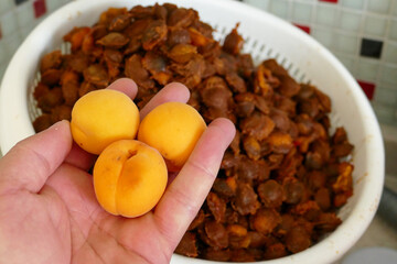 apricot kernels, apricot kernels in pharmaceutical production, a large amount of close-up apricot kernels,