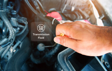Check the transmission fluid level and gear oil deterioration by a mechanic with transparent gear...