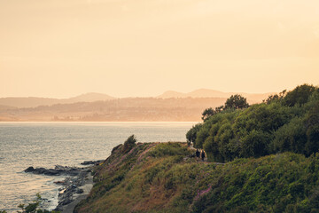 couple walking on beach path in a park near sunset in Victoria, BC Canada