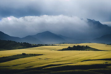 Obraz premium Golden barley farm field overlooks the mountain scenery, the mountainside is shrouded in mist and the sun is shining. Can be used for food, agriculture, crop issues, generate ai.