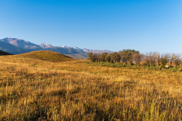 autumn landscape in mountains
